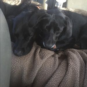 Meet your Posher, Greg